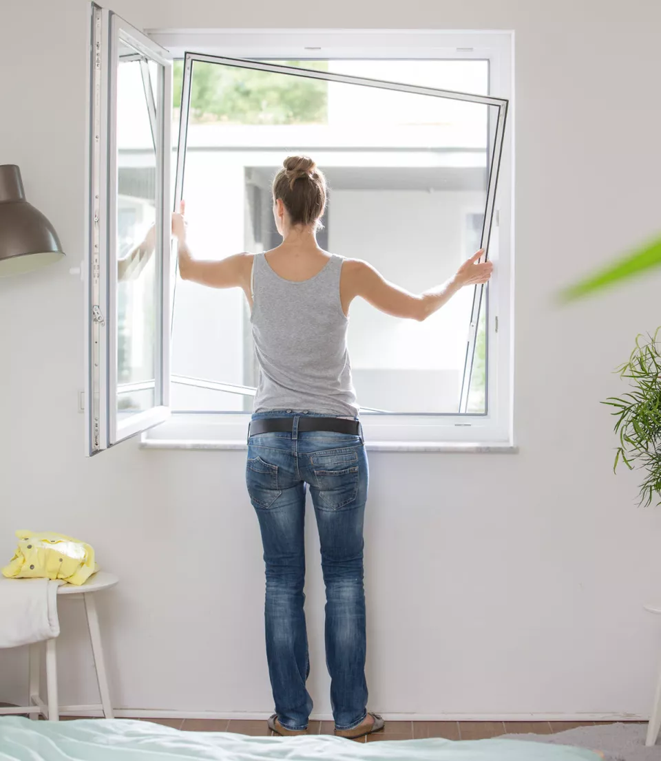 Insektenschutz_3.jpg Insektenschutz_3.jpg