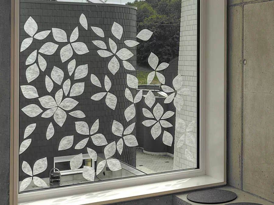 Gecko in the Box | Coleo Gecko in the Box | Coleo