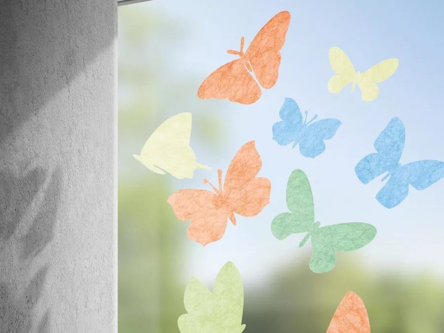 Gecko in the Box | Farfalla Gecko in the Box | Farfalla