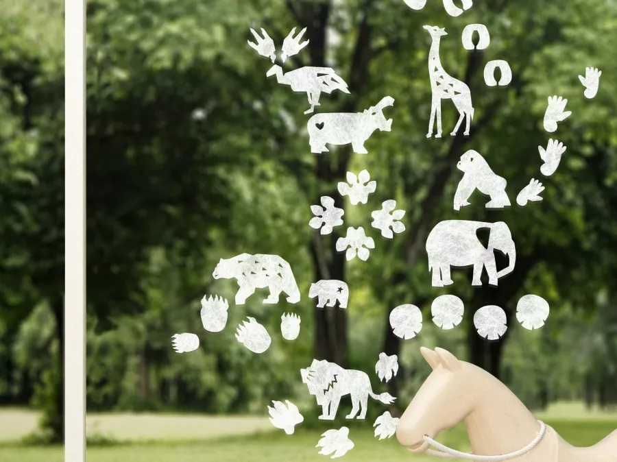 Gecko in the Box | Fauna Gecko in the Box | Fauna