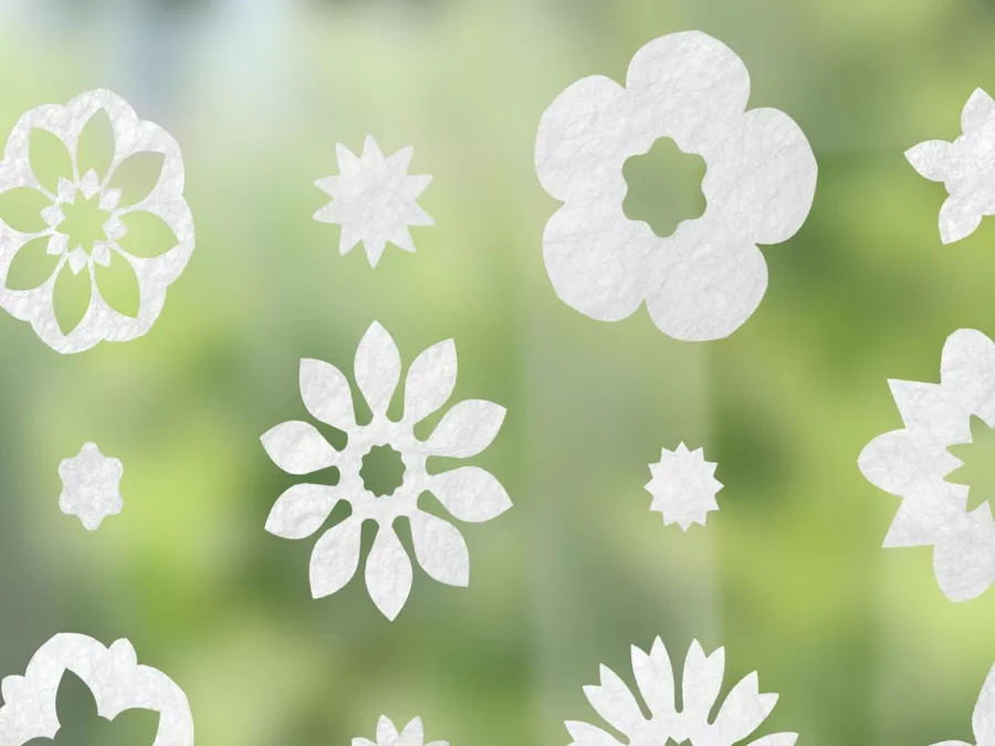 Gecko in the Box | Florea Gecko in the Box | Florea