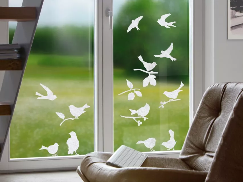 Gecko in the Box | Papageno Gecko in the Box | Papageno