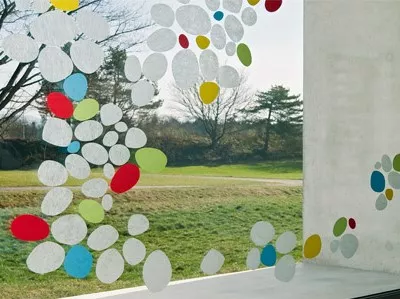 Gecko in the Box | Rotondo Gecko in the Box | Rotondo