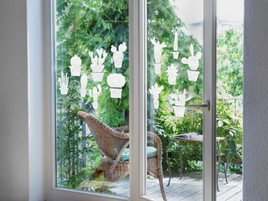 Gecko in the Box | Sonora Gecko in the Box | Sonora