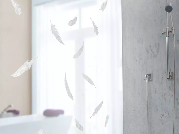 Gecko in the Box | Volare Gecko in the Box | Volare